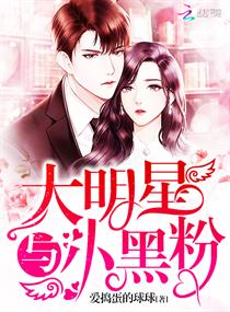 大明星与小黑粉章节列表