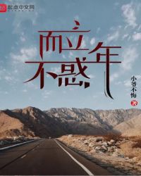 而立不惑年章节列表