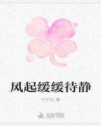 风起缓缓待静章节列表