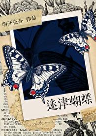 迷津蝴蝶章节列表