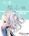 哈喽，猫小姐章节列表