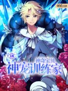 神奇宝贝神宠训练家章节列表