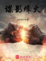 谍影烽火章节列表