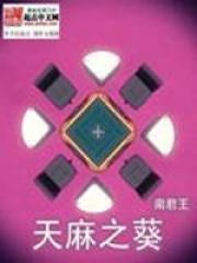 天麻之葵章节列表