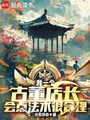 我一个古董店长，会点法术很合理章节列表