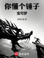 你懂个锤子宝可梦章节列表