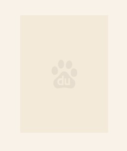 真千金才不是真的不学无术！章节列表