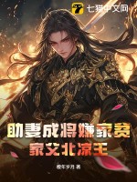 助妻成将嫌家贫？家父北凉王章节列表