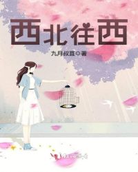 西北往西章节列表