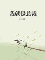 我就是总裁章节列表