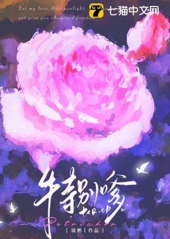 不务正夜章节列表