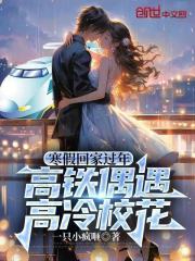 寒假回家过年，高铁偶遇高冷校花章节列表