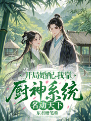 开局婚配，我靠厨神系统名动天下章节列表