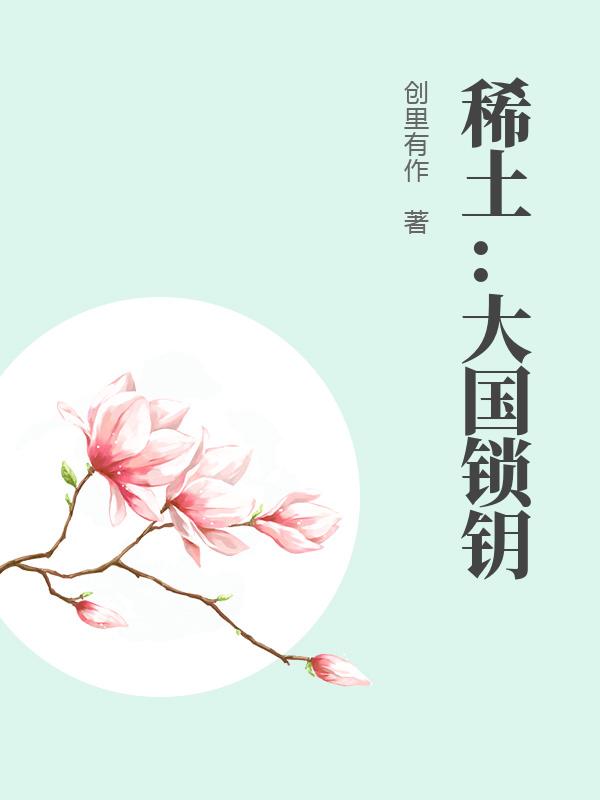 稀土：大国锁钥章节列表