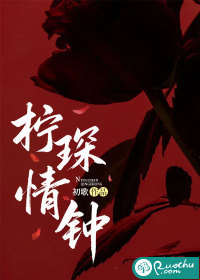 柠琛情钟章节列表