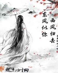 东风似你西风归去章节列表