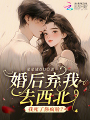 婚后弃我去西北，我死了你疯啥？章节列表