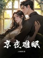 京夜难眠章节列表