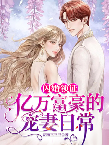 闪婚领证，亿万富豪的宠妻日常章节列表