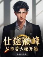 仕途巅峰：从市委大秘开始！章节列表