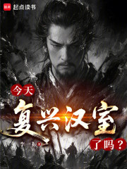今天复兴汉室了吗？章节列表