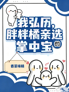 我弘历，胖橘亲自选的掌中宝章节列表