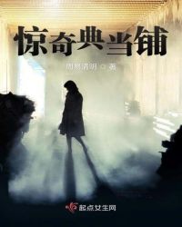 惊奇典当铺章节列表