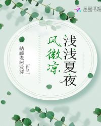 浅浅夏夜风微凉章节列表