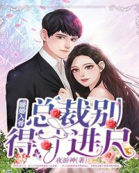 暖婚入骨，总裁别得寸进尺章节列表