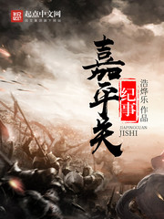 嘉平关纪事章节列表
