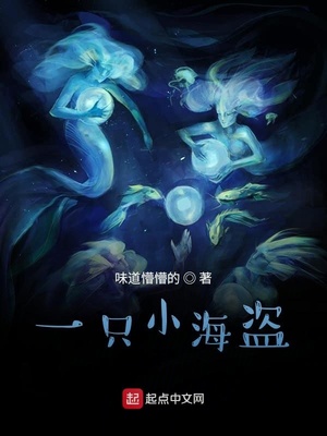 一只小海盗章节列表