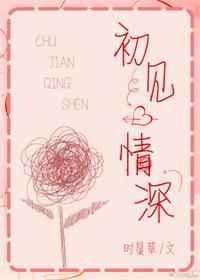 初见情深章节列表
